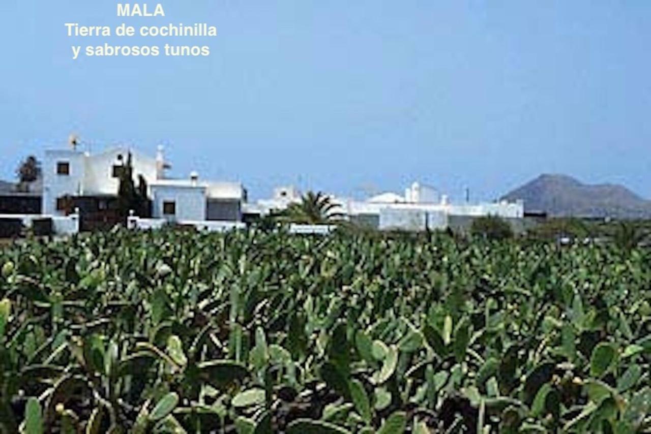Casa "Gara" Mala-Lanzarote Norte Bagian luar foto